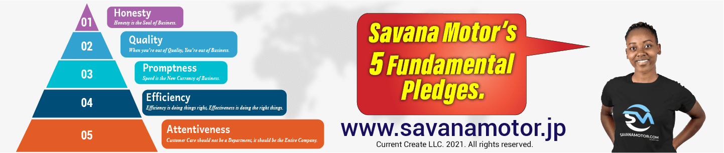 Savana Motor Help 5 Pleages