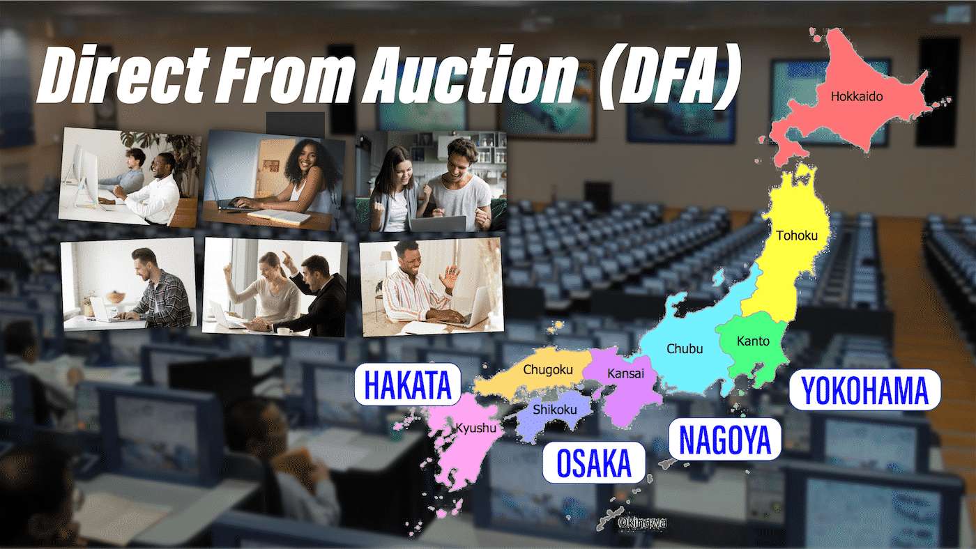 Savana DFA Direct From Auction