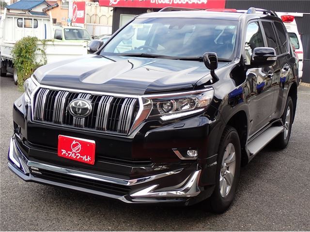 2019 TOYOTA LAND CRUISER PRADO