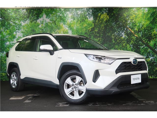 2019 TOYOTA RAV4 PHV